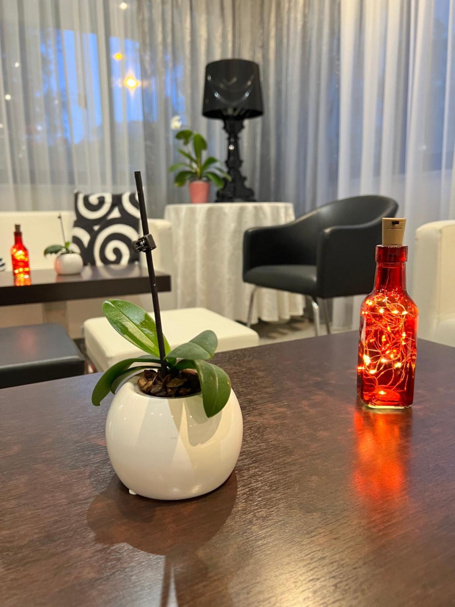 Hotel Betty Personal Style And Beach Village ريميني المظهر الخارجي الصورة